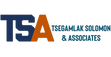 Tsegamlak Solomon and Associates Law Office