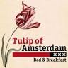 Tulip of Amsterdam