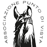 Punto di vista