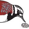 Turnstone Archaeology