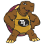 Turtle Lake High School