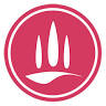 Bolgheri Food & Wine Tours