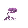 Twisted Juniper Yoga