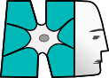 Neuro-Rehabilitacja