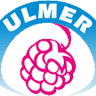 Ulmer Producent mrożonych owoców