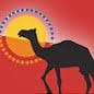 Uluru Camel Tours