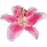 Ulyett Landscapes Limited