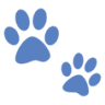 Union Veterinary Clinic