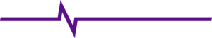 United Life Safety Systems, Inc.