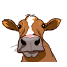 Livestock Veterinary Services