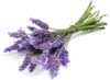 Upcountry Massage Co LLC