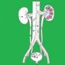 Urovitalia dr. Plešnar