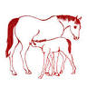 Usha Stud Farm