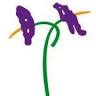 Uson Floristas