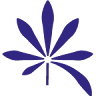 UtoPlantes