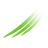 Yu Tours Ltd.