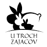 Zajace