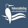 Valencia Birding