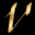 The Valente Group LLC
