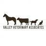 Valley Veterinary Associates