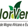 Valor Verde Mudas de Eucalipto Clone e Mogno Africano