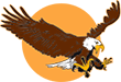 Vanguard Agency Inc