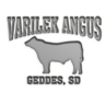 VARILEK ANGUS