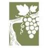 Vine & Branches Fellowship
