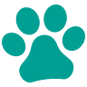 Virginia Beach SPCA