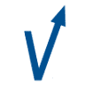 VECTOR SERVICE & SUCCESS