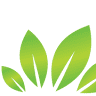 Vedankur Healthcare