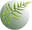 Velvet Fern