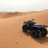 Ven al Desierto