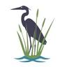Friends of the Verde River