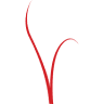 Veronesse