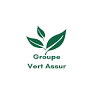 VERT ASSUR