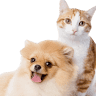 Veterinarnaya Klinika Vet Khelp