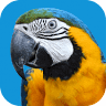 Vetafarm Australia