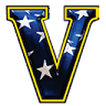 Veteran Moving Group
