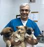 Veterinaria Walter Perez