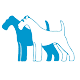 Clínica veterinària Santa Eulària
