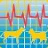 Veterinary Trauma Center