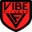 Vibe Fitness Training Facility