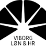 Viborg Erhvervsservice