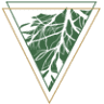 Vibrant Roots Wellness