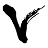 Viet