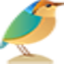 Vietnam Pitta Tour