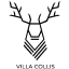 Villa Collis