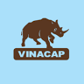 CÔNG TY CỔ PHẦN VINACAP KIM LONG