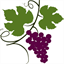 Vine & Branches Gifts